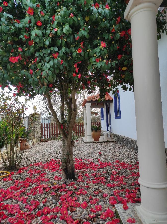 托马尔 Fazenda Do Marante旅舍 外观 照片