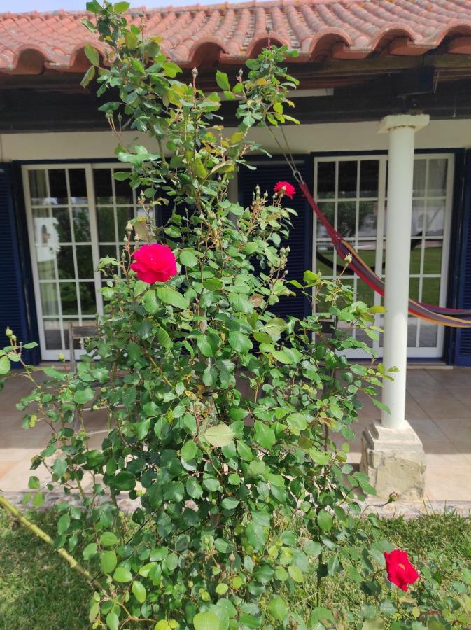 托马尔 Fazenda Do Marante旅舍 外观 照片